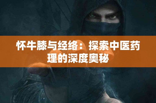 怀牛膝与经络：探索中医药理的深度奥秘