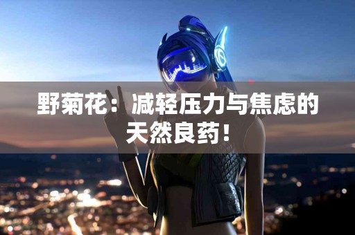 野菊花：减轻压力与焦虑的天然良药！