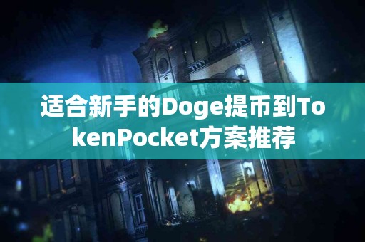 适合新手的Doge提币到TokenPocket方案推荐