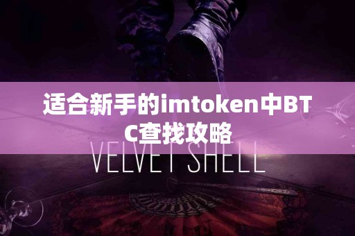 适合新手的imtoken中BTC查找攻略