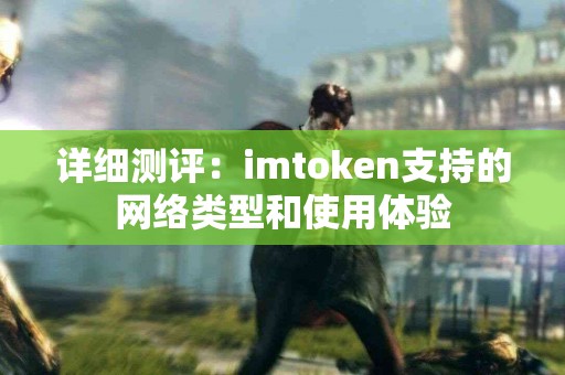 详细测评：imtoken支持的网络类型和使用体验