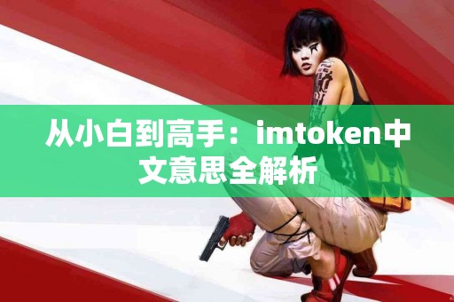 从小白到高手：imtoken中文意思全解析