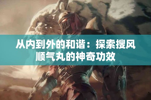 从内到外的和谐：探索搜风顺气丸的神奇功效