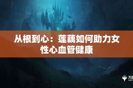 从根到心：莲藕如何助力女性心血管健康