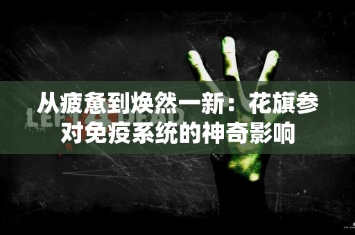 从疲惫到焕然一新：花旗参对免疫系统的神奇影响