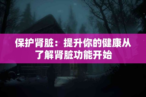 保护肾脏：提升你的健康从了解肾脏功能开始